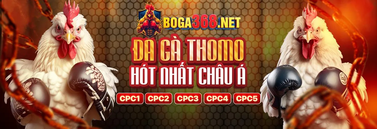 Đá gà trực tuyến tại Zomclub Casino