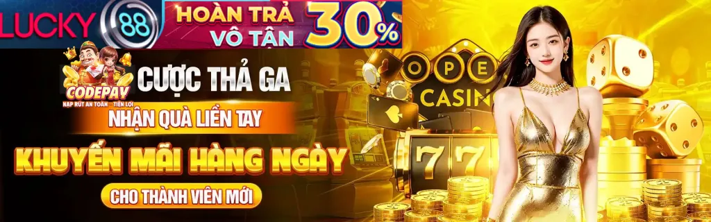 Cấu trúc chương trình đối tác